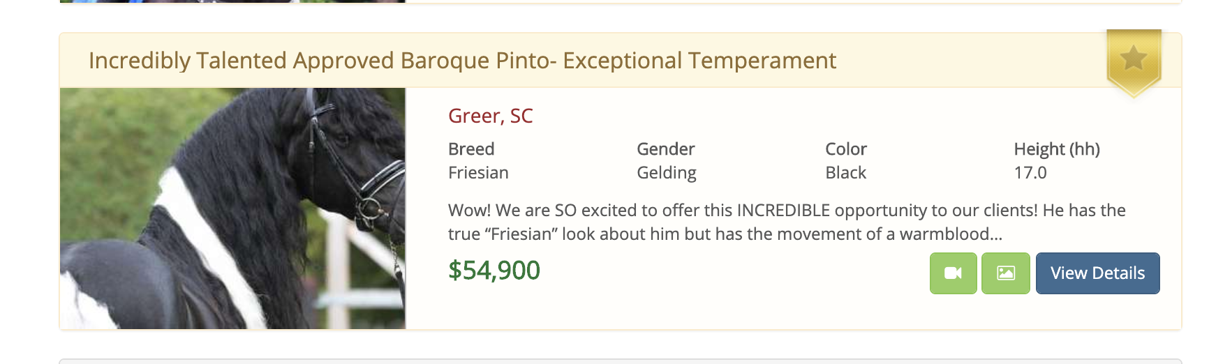 Friesian Horse Price Yup, Kim Kardashian Paid That Much for 14