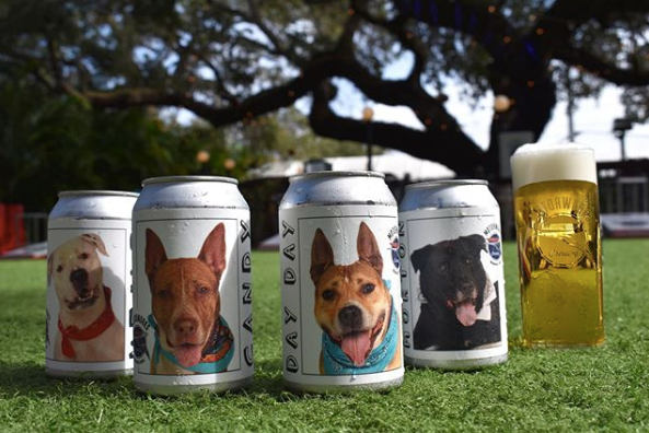 2-lost-dog-beer-can-1581011839666.jpg