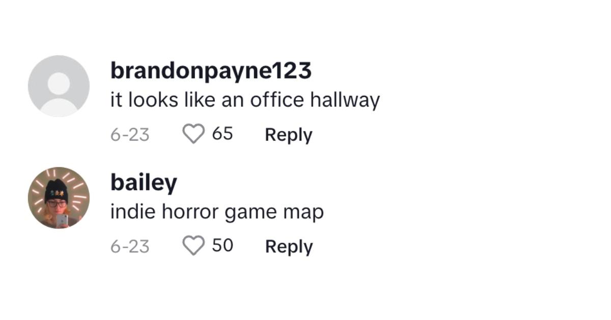 Comments on the hallway apartment video