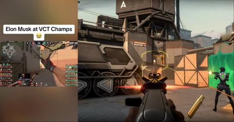 The TikTok clip of Musk at the Valorant tournament next to a Valorant screenshot.