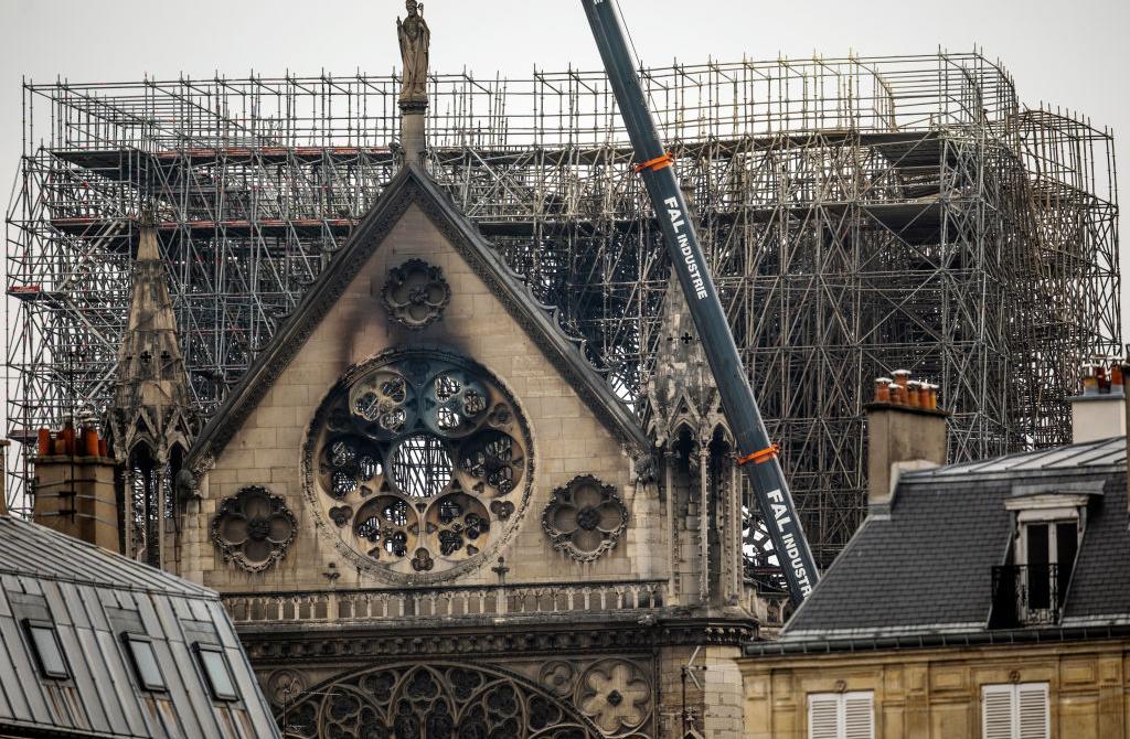 france-doesn-t-have-trees-tall-enough-to-rebuild-notre-dame-s-roof