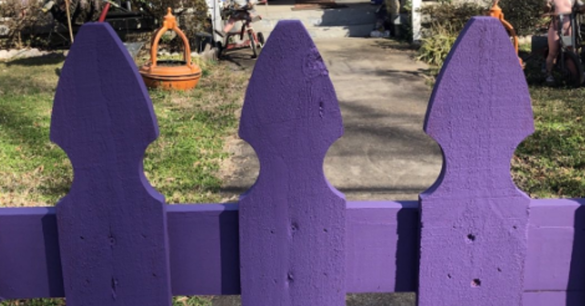 What Does a Purple Fence Mean? What We Know About the Color Choice