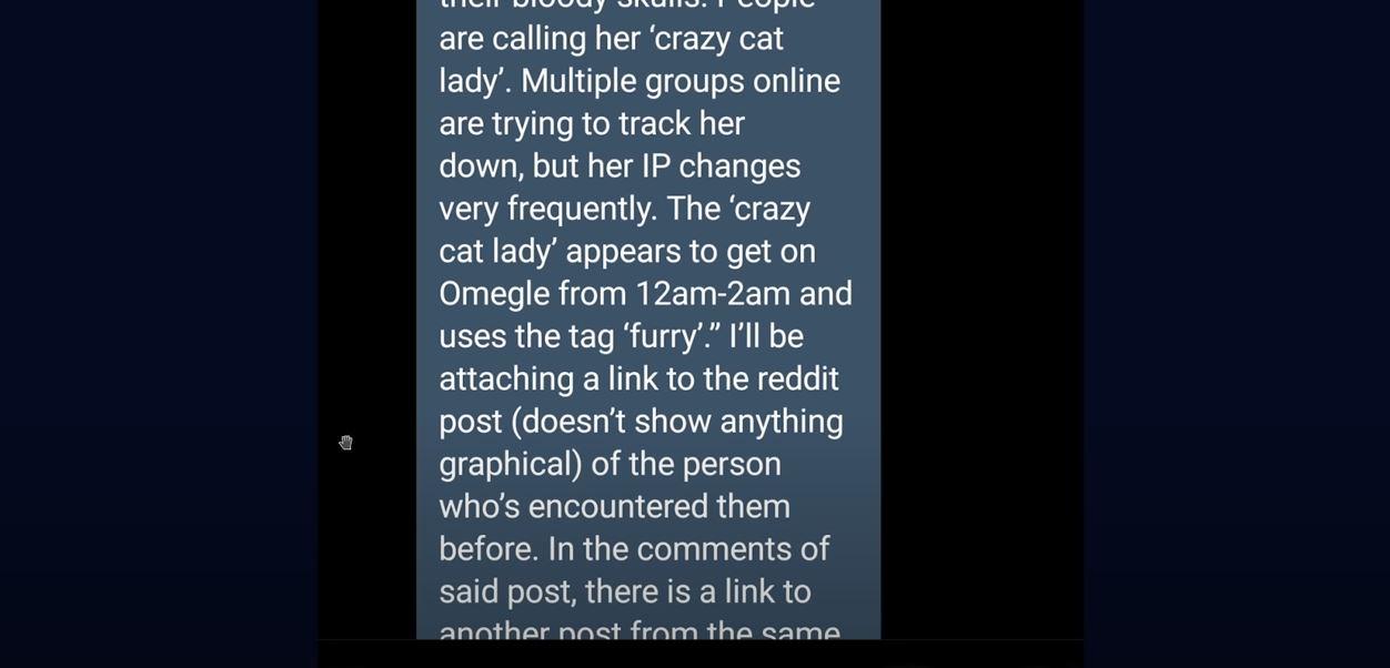 TikTok Crazy Cat Lady Killer Has Allegedly Finally Been Stopped