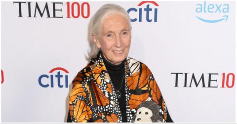 Jane Goodall Leaves Behind an Impressive Net Worth