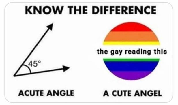 before and after gay pride meme