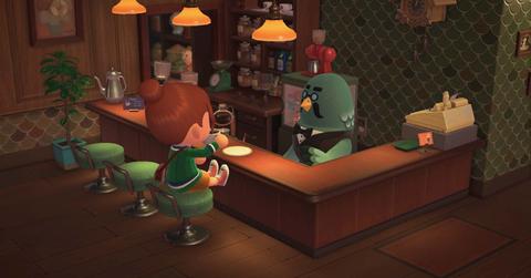 'Animal Crossing: New Horizons'