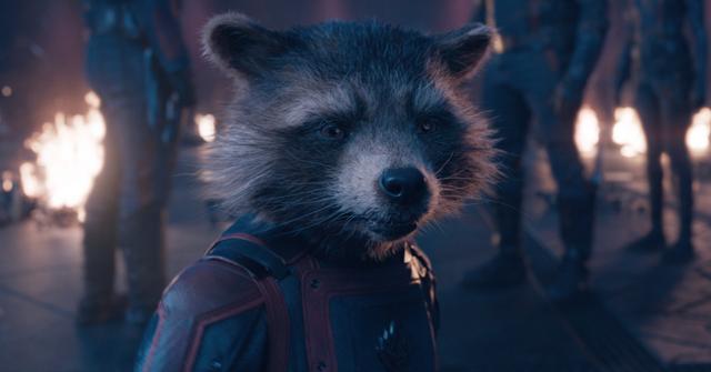 Rocket Raccoon (Bradley Cooper) in 'Guardians of the Galaxy Vol. 3'