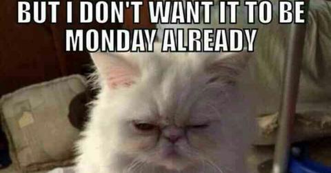 Monday Meme