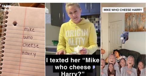 'Mike Who Cheese Hairy' joke on TikTok