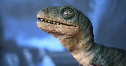 Are Dinosaurs Coming Back in 2050? Here's What We Know