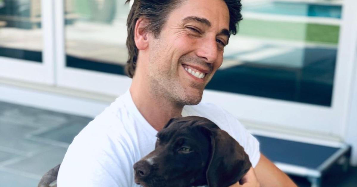 david muir instagram