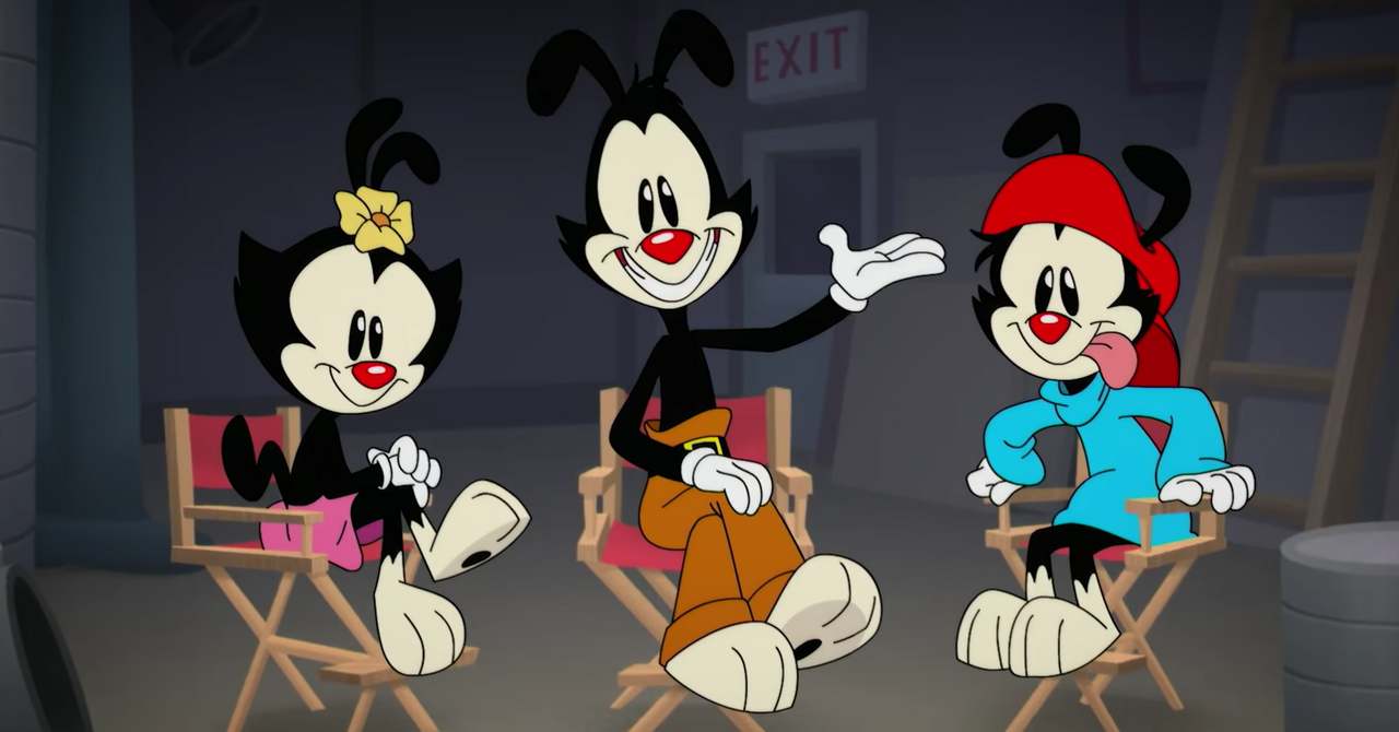 What Kind Of Animal Are The Animaniacs? Are They Dogs, Cats, Or Both?