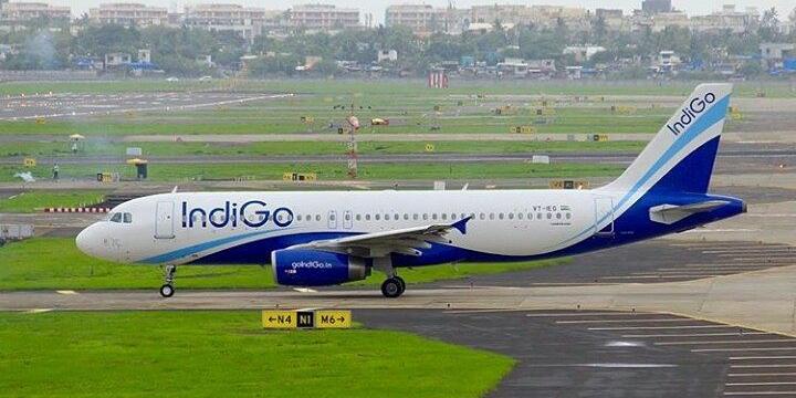indigo-airways-plane