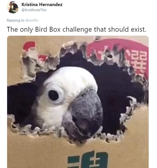 birdbox challenge memes