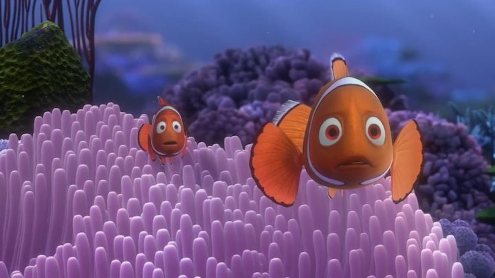 What Is The Real Story Behind Finding Nemo Fans Have Dark Theories