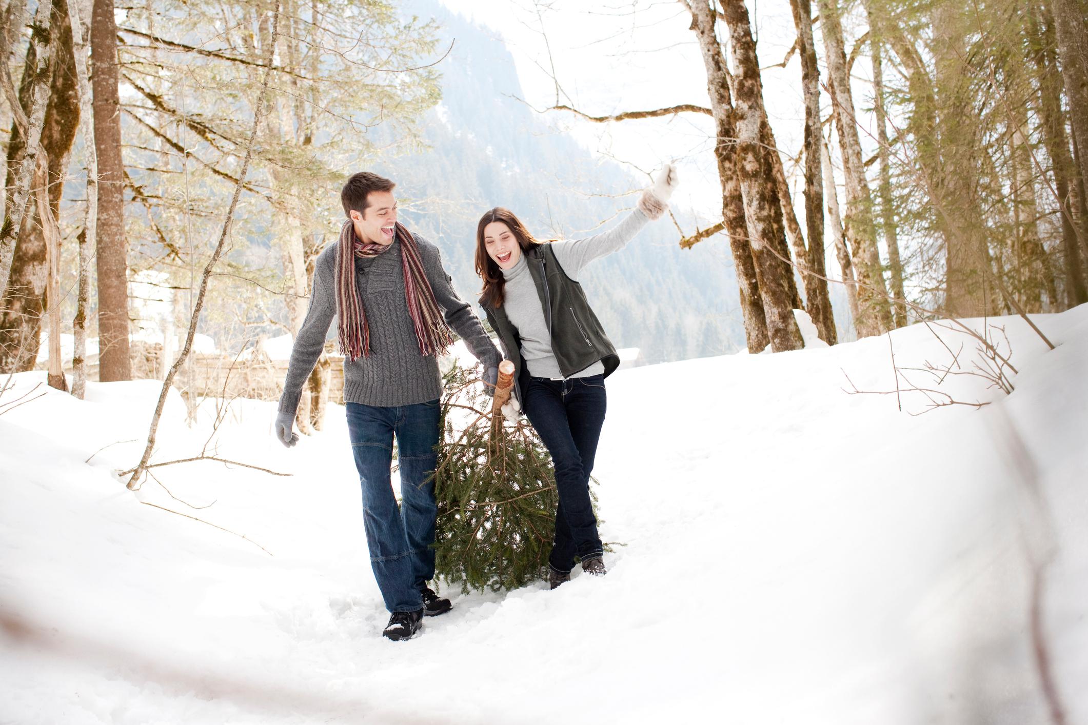 couple pulling christmas tree through snow