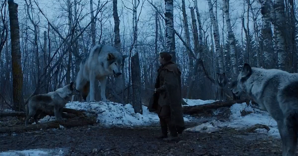 Where Is Ghost on 'Game of Thrones?' Jon Snow's Wolf Back for Season 8