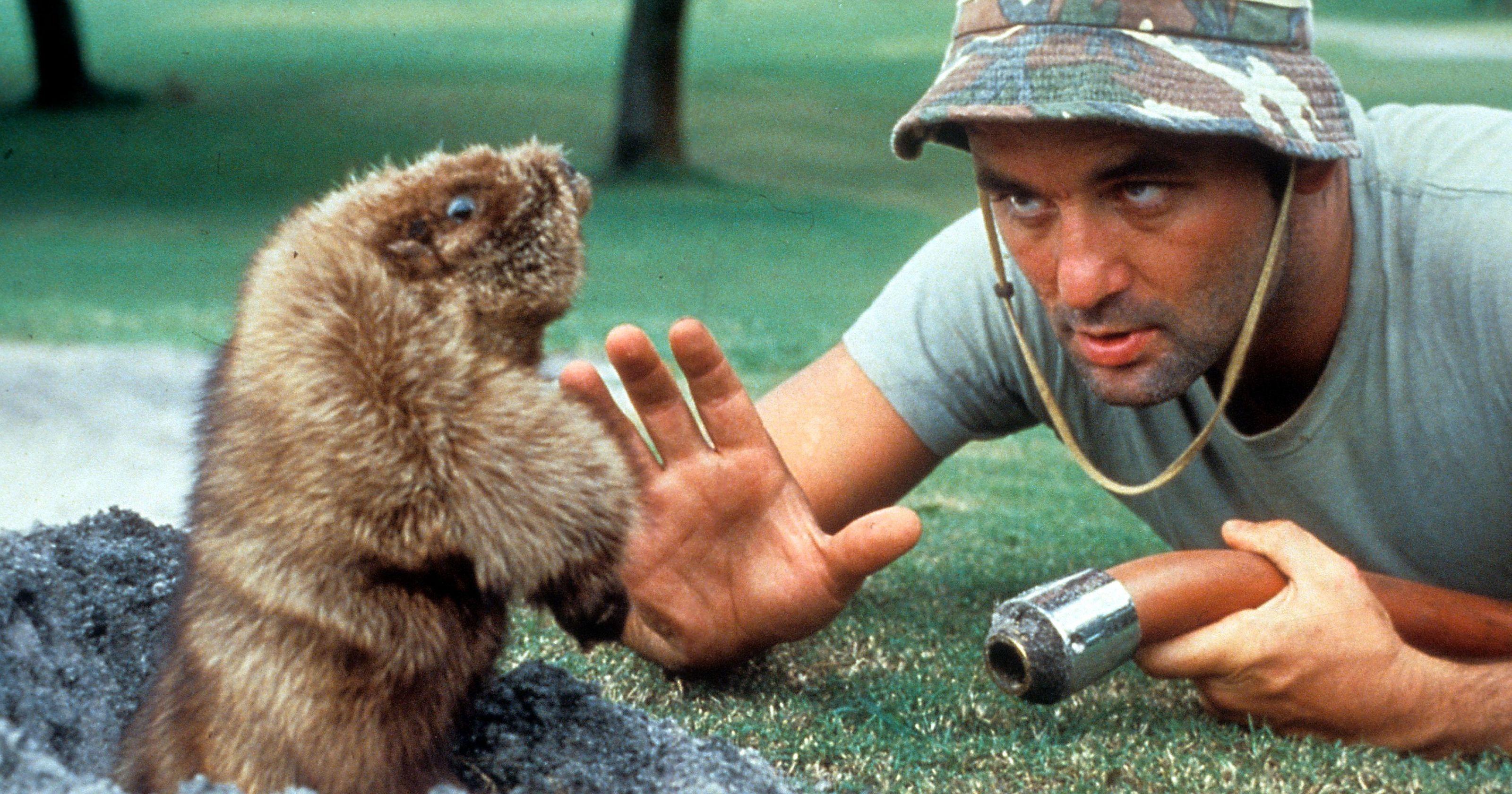 caddyshack