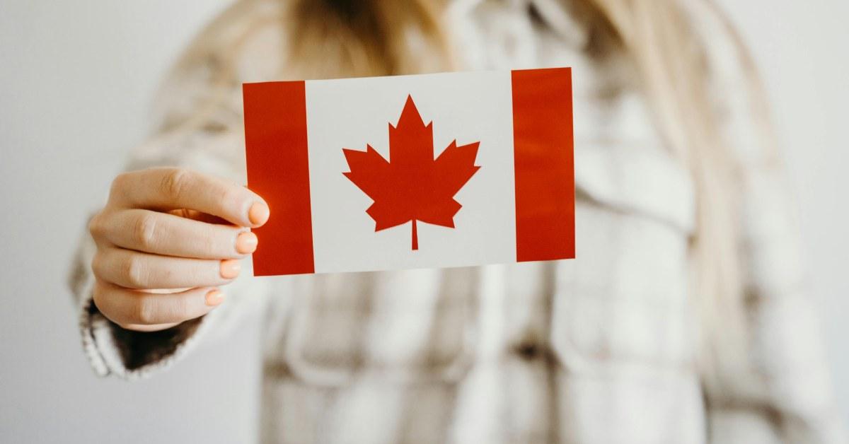 A hand holding up a mini Canadian flag.