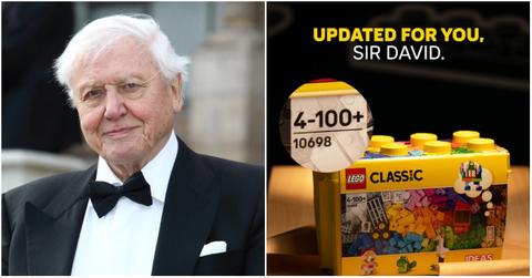 LEGO Updated Its Age Range for David Attenborough — Details