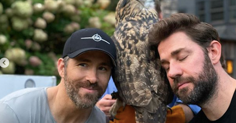 featured ryan reynolds john krasinski