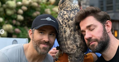 featured-ryan-reynolds-john-krasinski-1569941650411.jpg