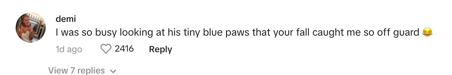 A TikToker on Matt's post about spilling laundry and dog watching