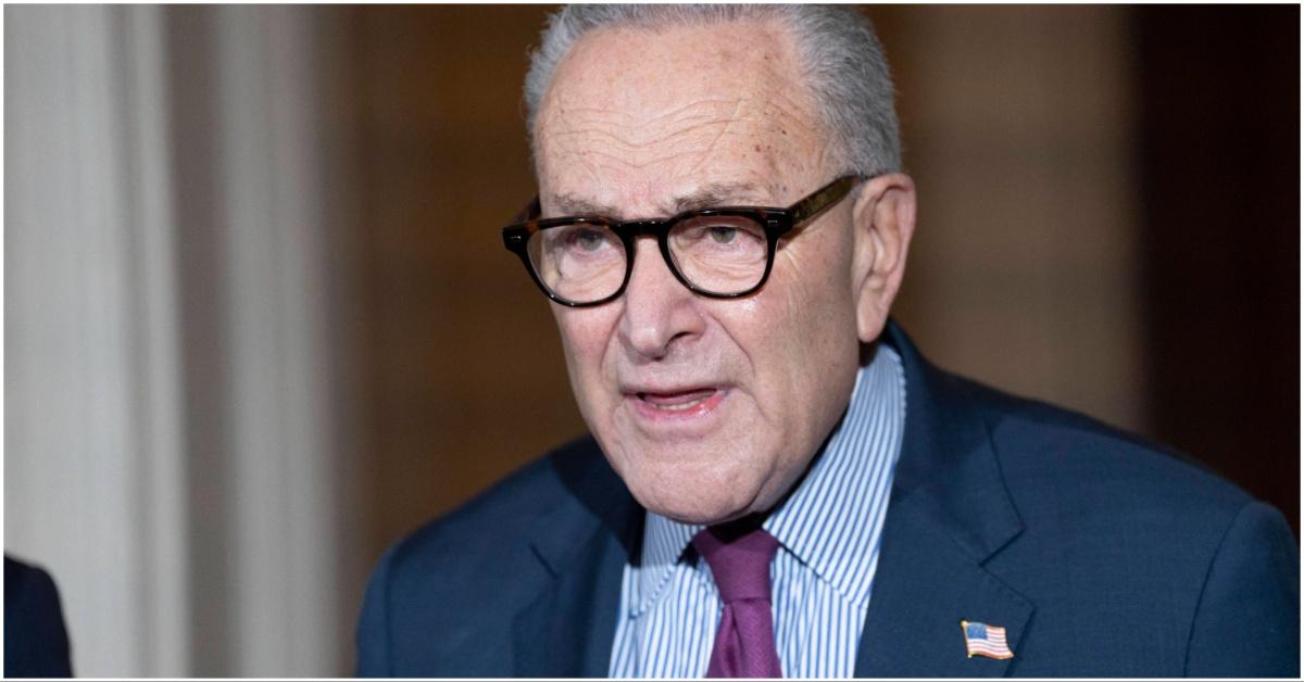 Why Do People Hate Chuck Schumer? TikTok Slams Shutdown Surrender