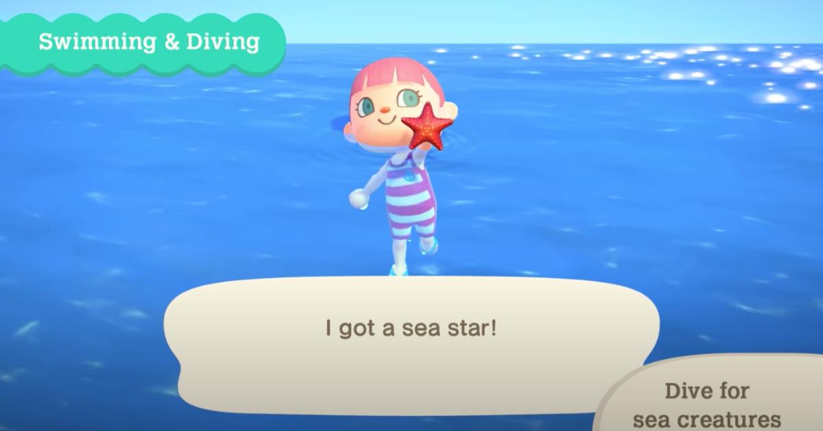 animal crossing summer update swimming