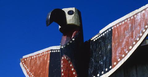 why is spirit animal offensive