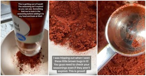 tiktoker @rt_hemi345 shows bugs in walmart brand seasoning