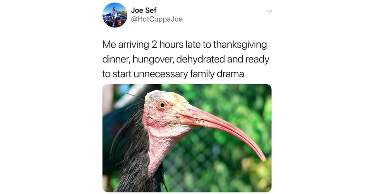 A Thanksgiving Day meme of an ugly looking bird