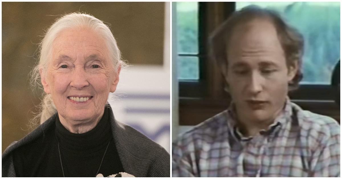 Jane Goodall’s and the Far Side’s Controversy Explained