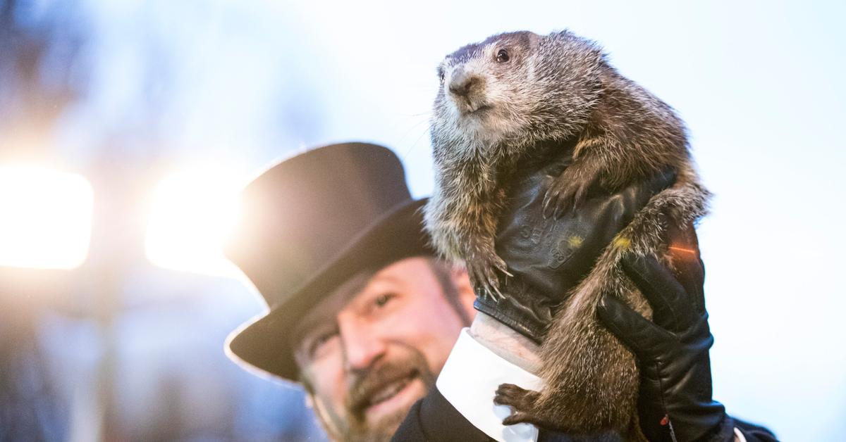 Groundhog Day Accuracy: Is Punxsutawney Phil Always Correct?