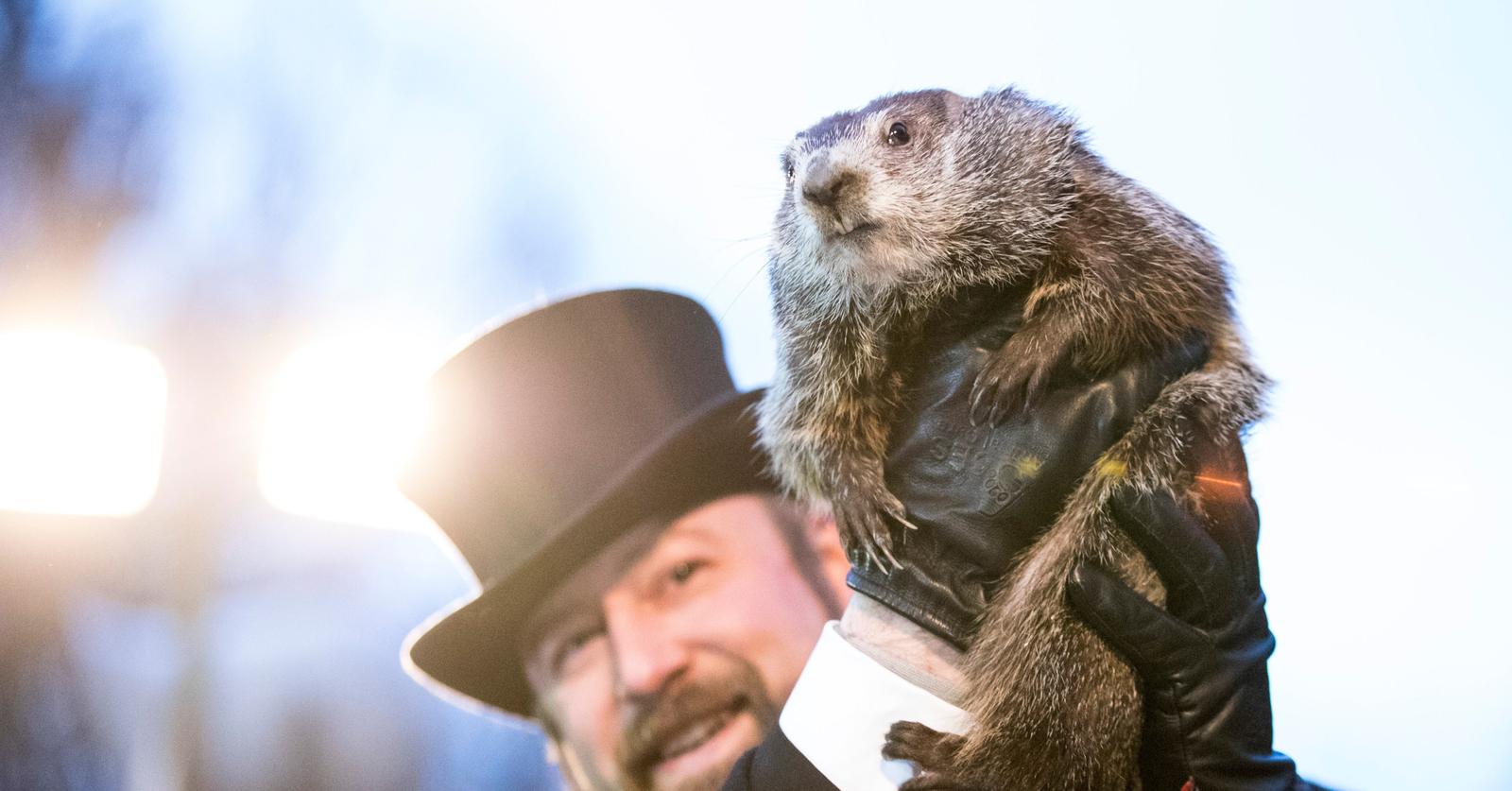 Groundhog Day Accuracy: Is Punxsutawney Phil Always Correct?