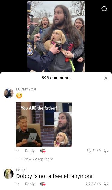 TikTok comment sections are white