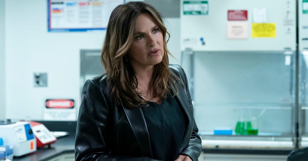 Who Plays Detective Nadia Szabo on 'Law & Order SVU'? She Only Needs