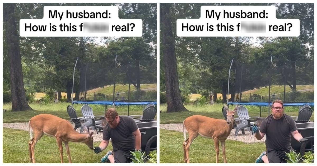 TikTok user @wishgrantingmama shows her husband befriending the deer in their backyard.