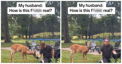 TikTok user @wishgrantingmama shows her husband befriending the deer in their backyard.