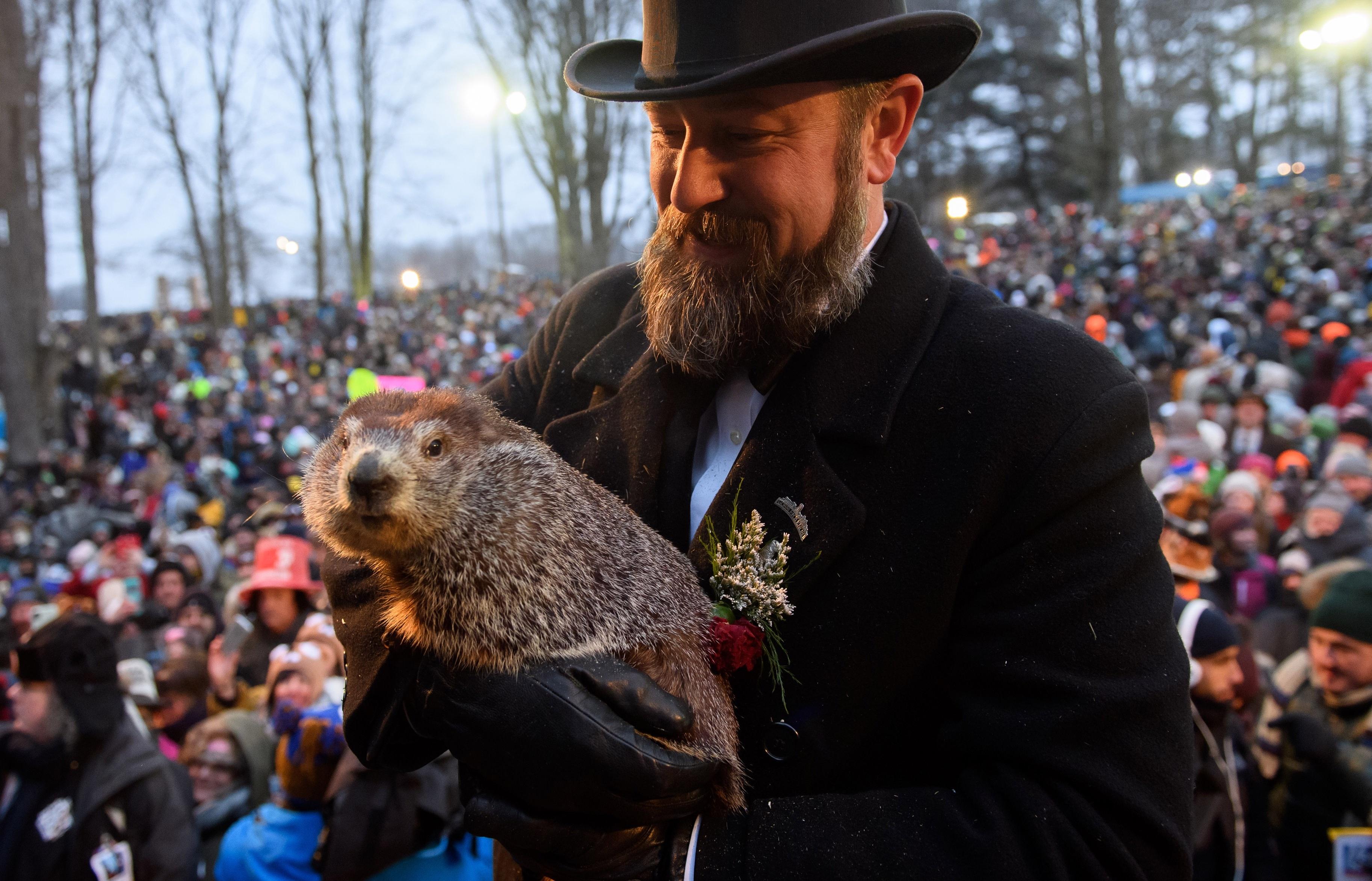 Groundhog Day predictions are not as simple as they seem.