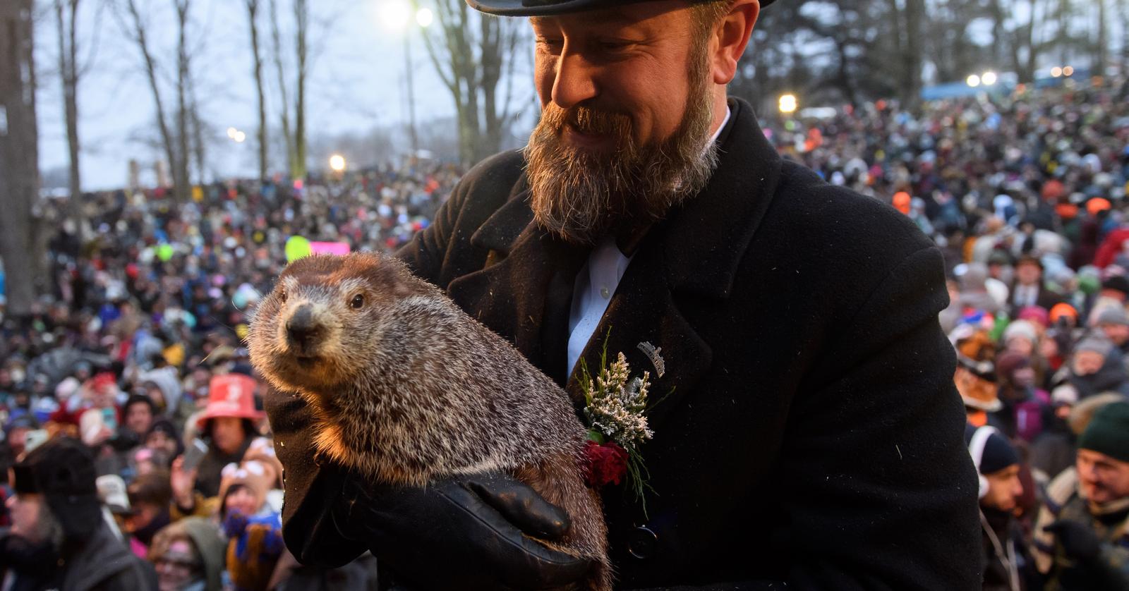 Groundhog Day Accuracy: Is Punxsutawney Phil Always Correct?