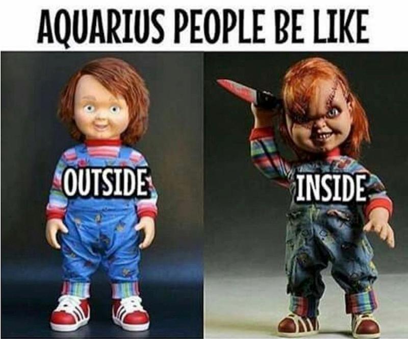 aquarius season memes