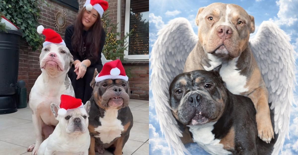 Bundle of Bullies creator Maren poses behind dogs wearing Santa hats, and Raffie and Odin wear wings in an AI-generated photo.
