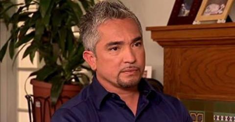 Cesar Millan in 'The Dog Whisperer'