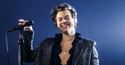 Is Harry Styles Gay Details On The Music Sensation S Sexuality