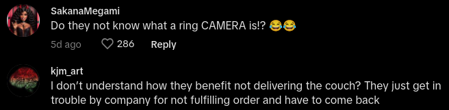 Castlery Delivery Pretends to Ring Doorbell to Fake Delivery