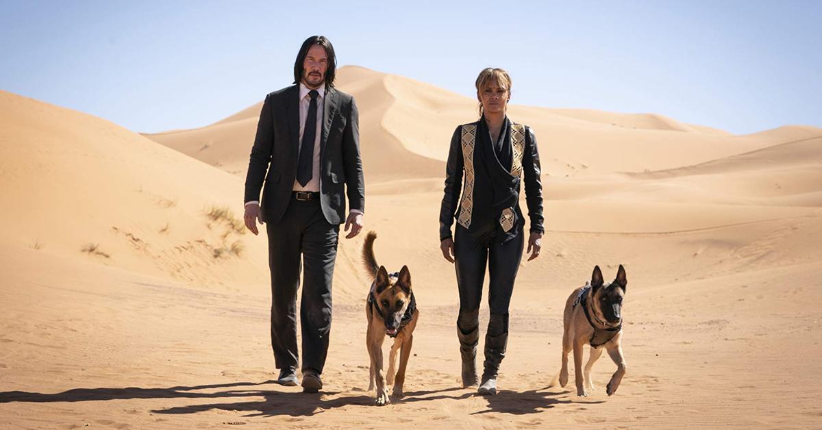 Does the Dog Die in 'John Wick 3'? No, But He Comes Close — Details!