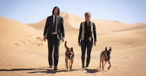 john-wick-3-does-dog-die-1568222842112.jpg