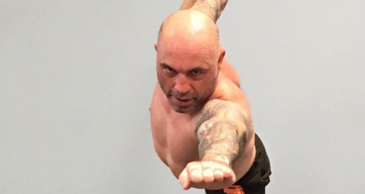 joe rogan