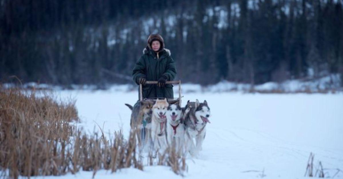 Sue Aikens and sled dogs